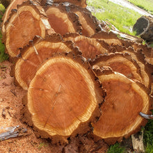 Load image into Gallery viewer, Redwood Slabs