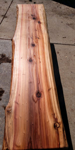 Live Edge Bench