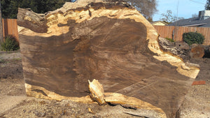 Walnut Slabs