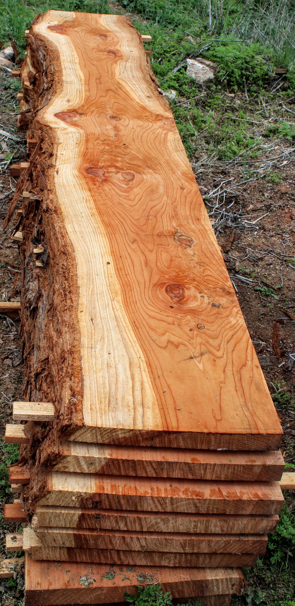 Redwood Short Slabs (Qty 6) RBs-50 - Global Wood Source